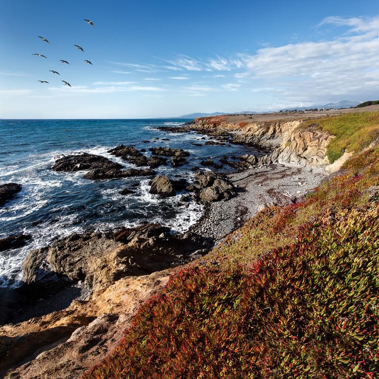 Moonstone Cottages Cambria Exterior foto